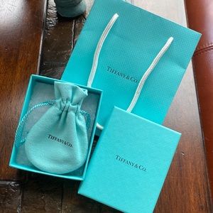Tiffany & Co. gift box and gift bag for jewelry necklace earrings bracelet